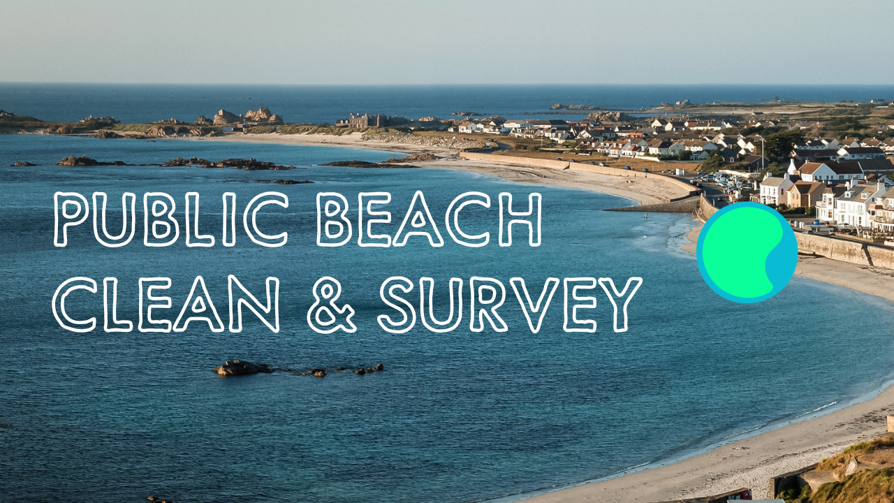 public beach clean in Guernsey